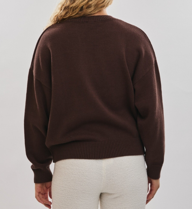 Crew Neck Dog with Sweater Graphic Sweater