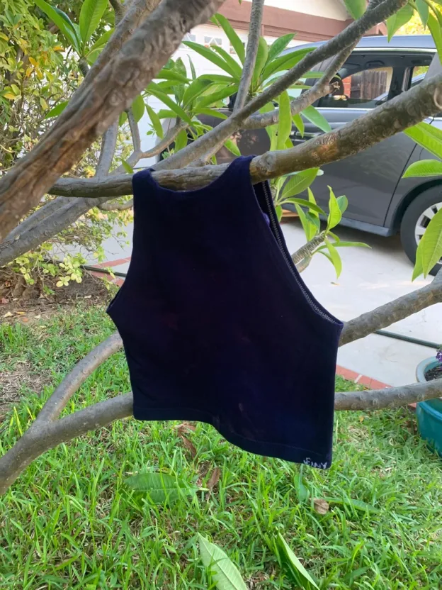 Libra Crop Top