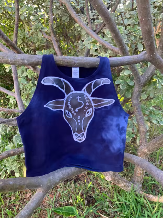 Capricorn Crop Top