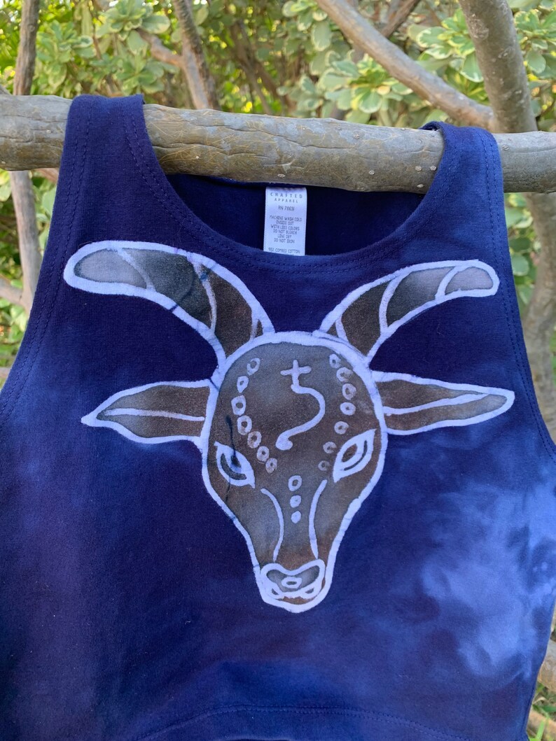 Capricorn Crop Top