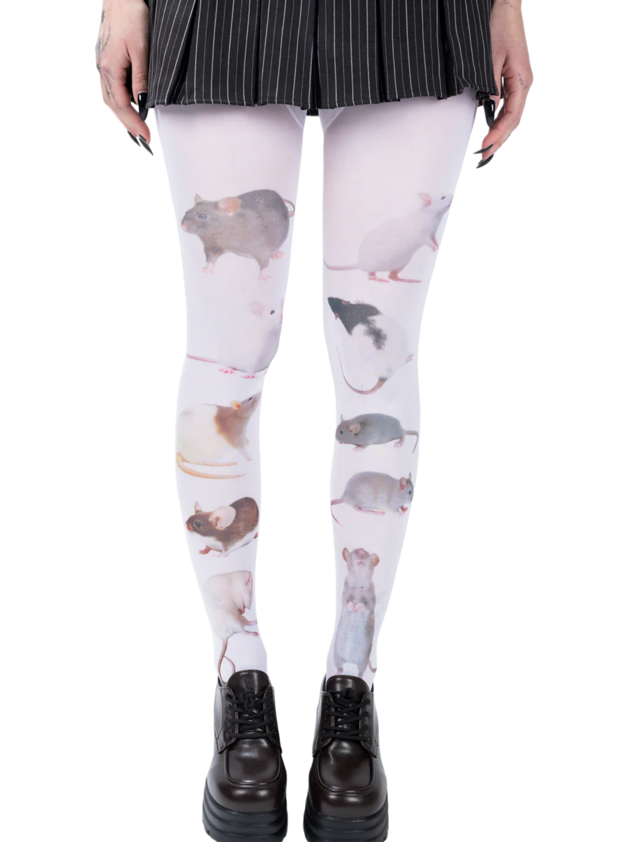 RAT TIGHTS