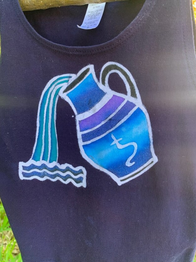 Aquarius Crop Top