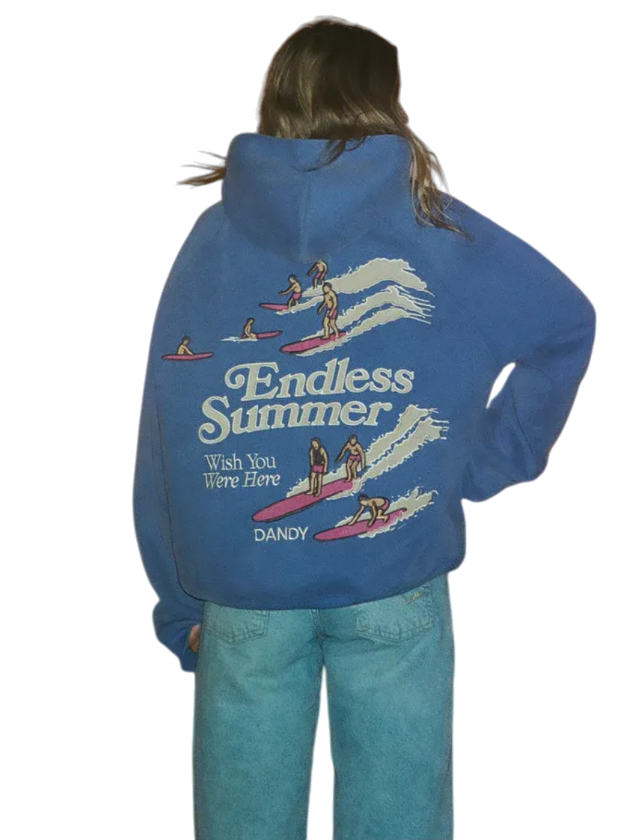 'Endless Summer' vintage washed blue hoodie