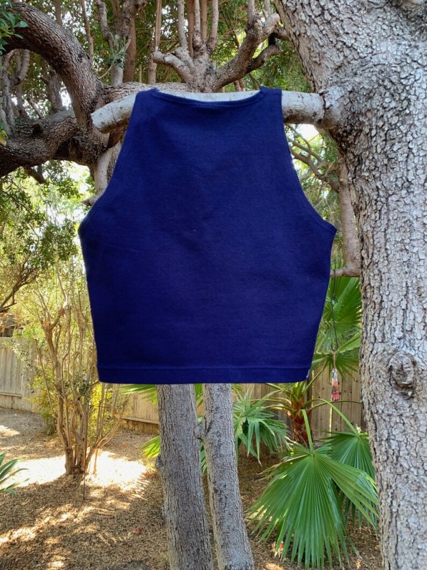 Virgo Crop Top