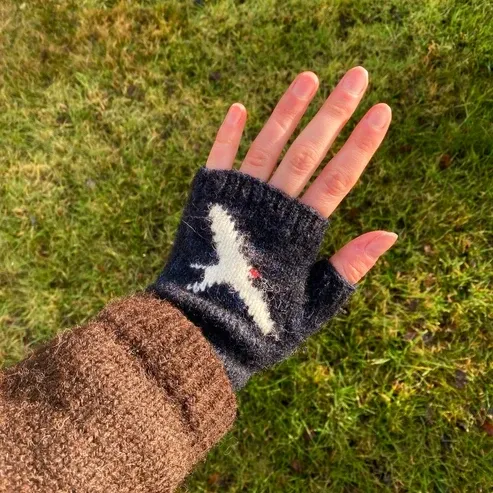 Arctic Tern Gloves