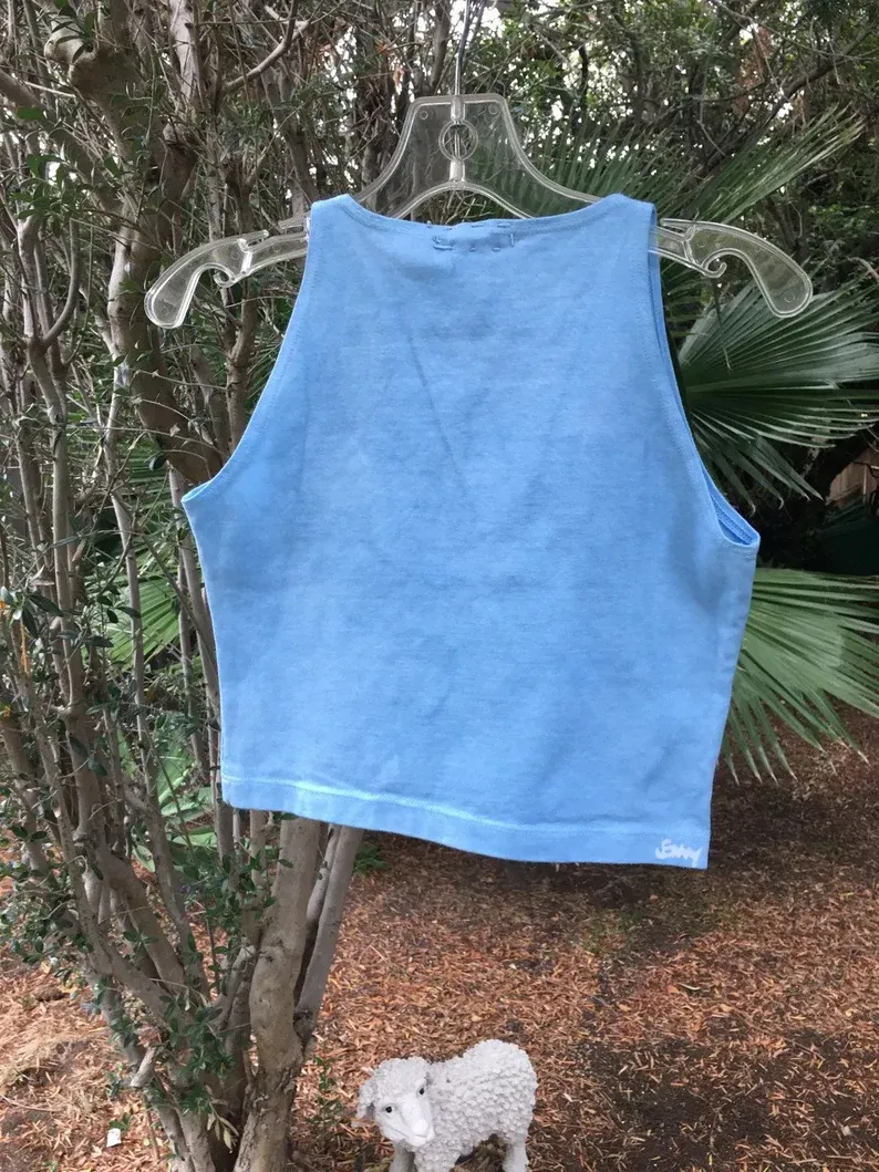 Blues on Blues Moon and Sun Crop Top