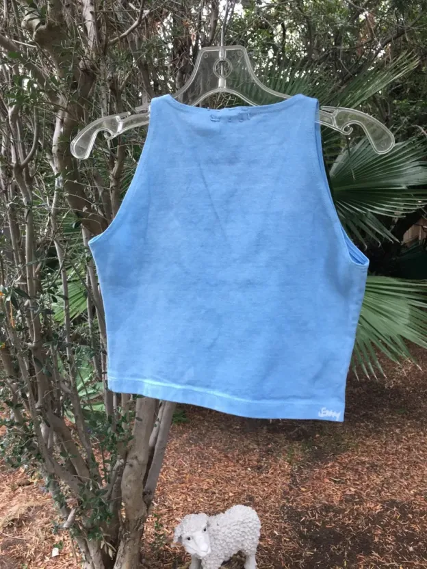 Blues on Blues Moon and Sun Crop Top