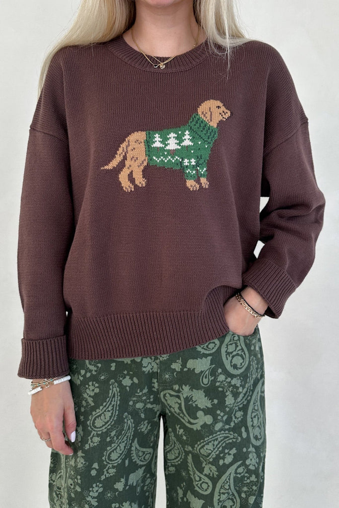 Crew Neck Dog with Sweater Graphic Sweater