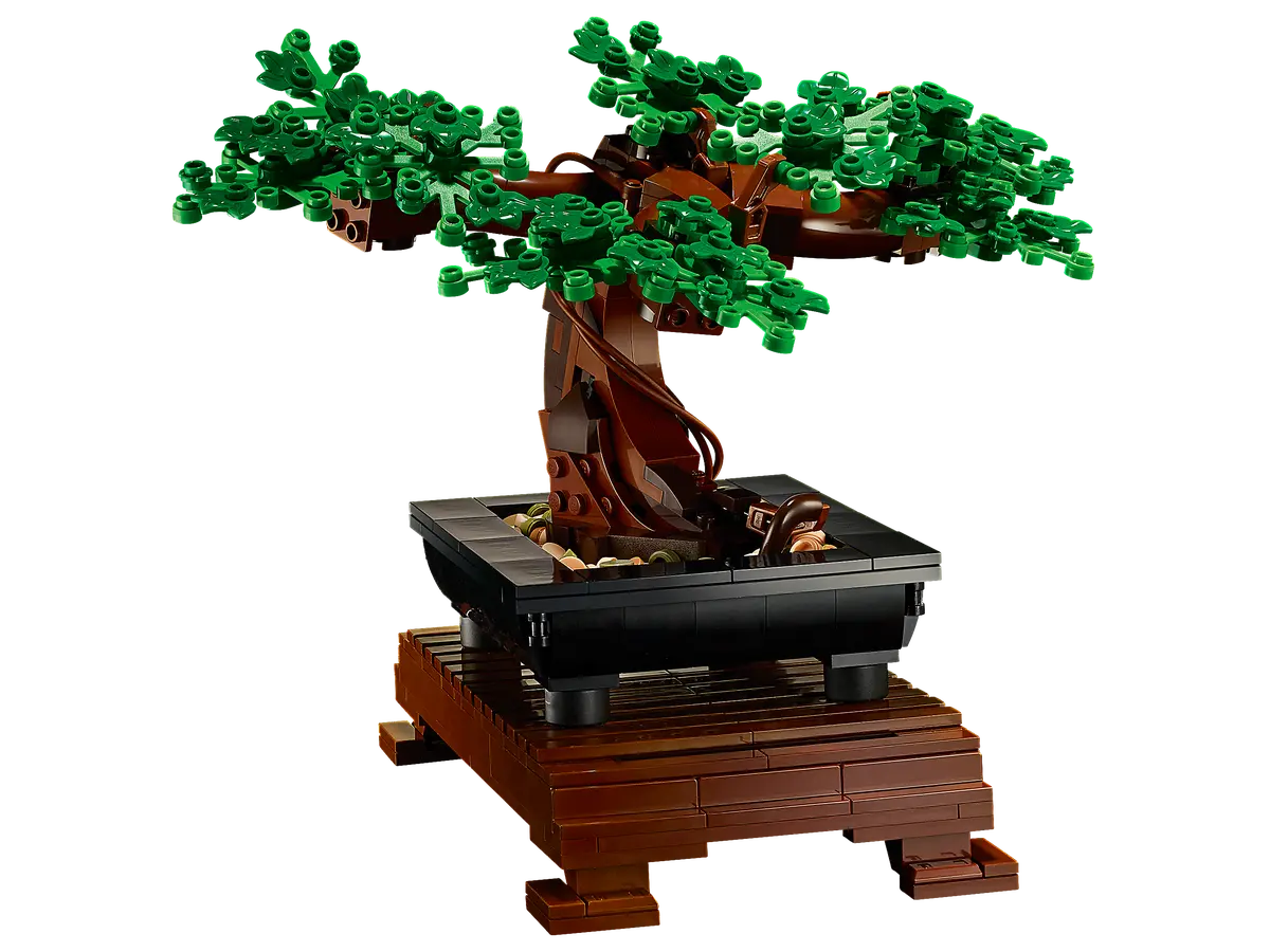 Bonsai Tree