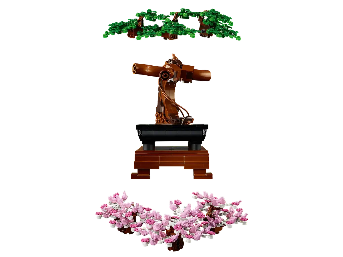 Bonsai Tree