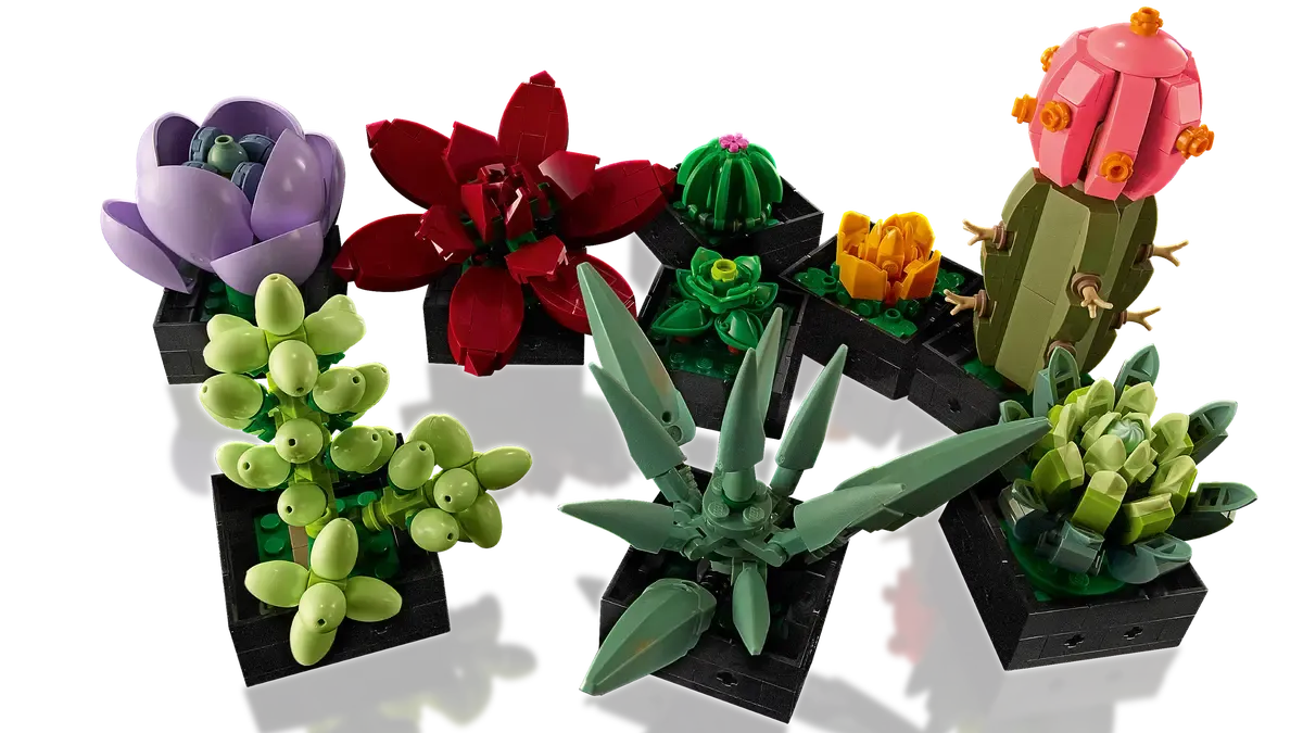 Succulents
