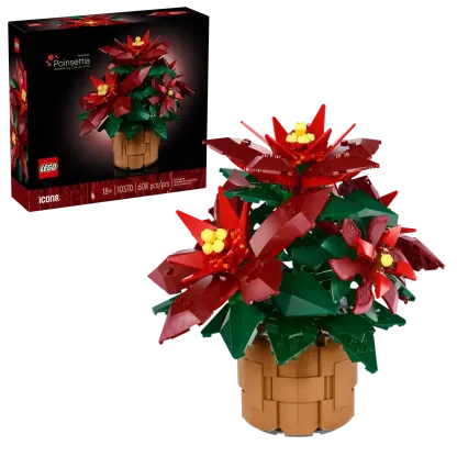 Poinsettia