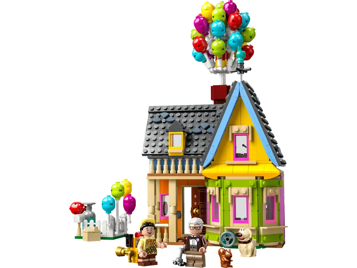 ‘Up’ House​