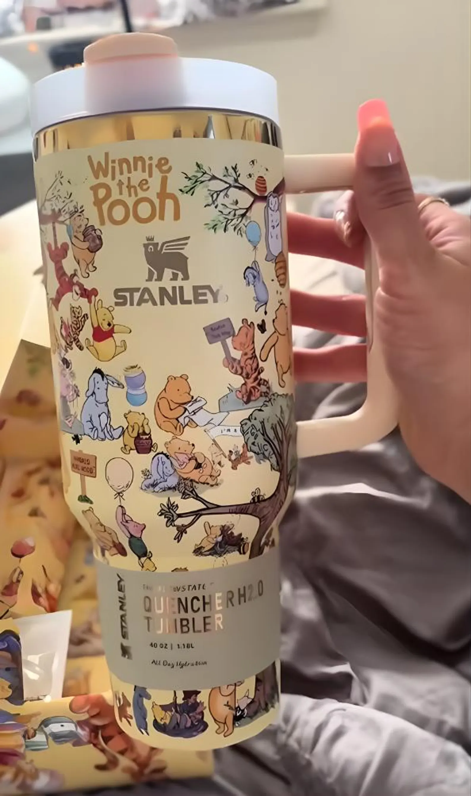 Classic 40 ounce The Pooh Stanley Cup