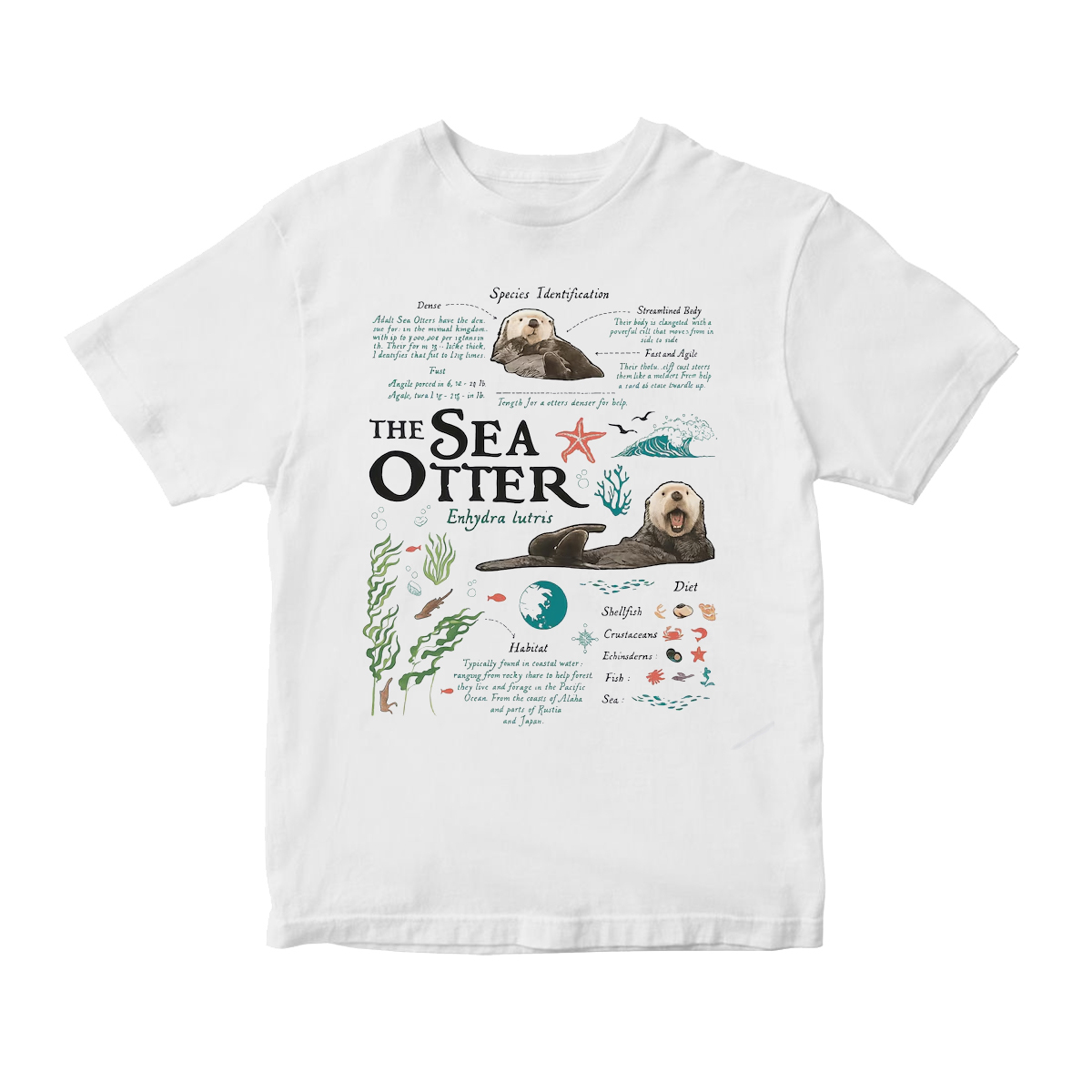 The Summer Turned Pretty Team Belly T-Shirt