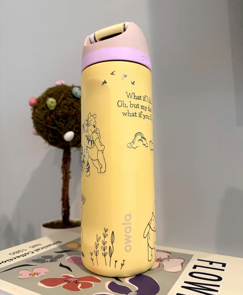 Winnie the Pooh and his friends 30oz or 40oz Stainless Steel Tumbler With Handle HG