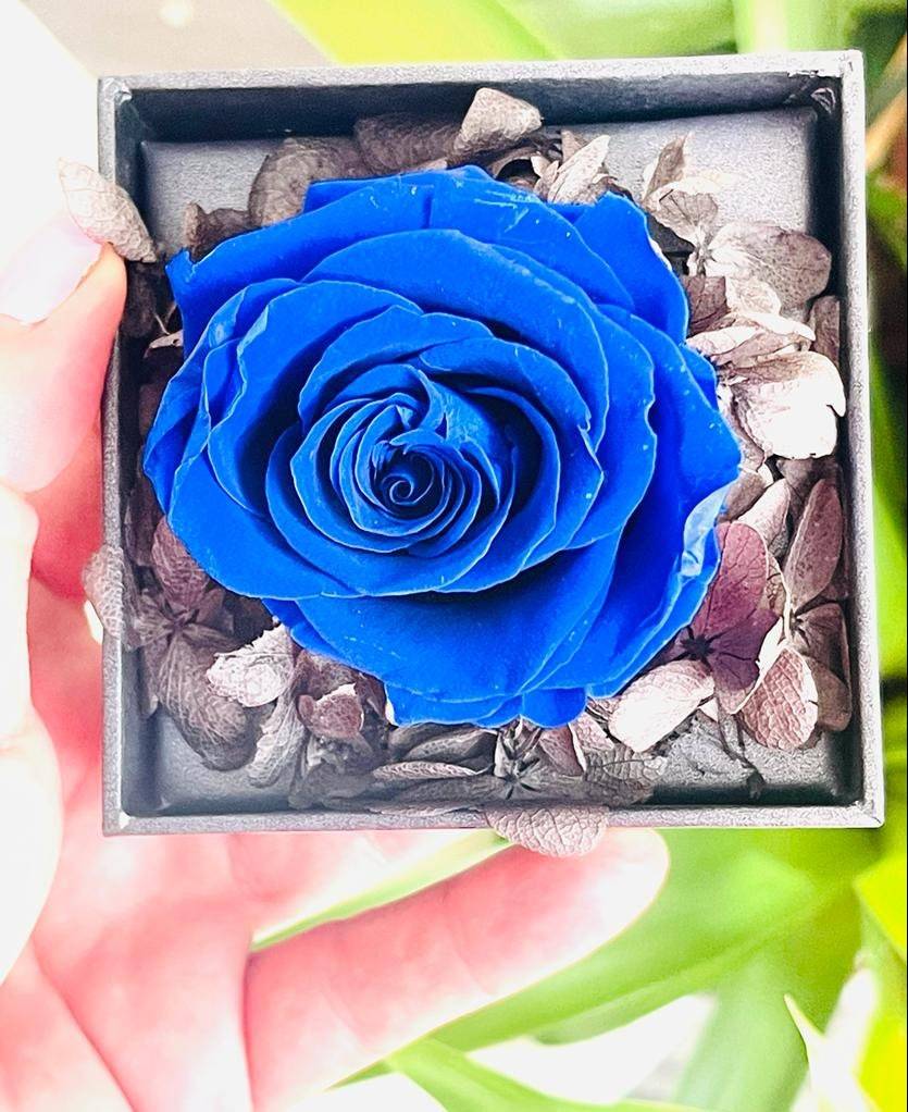 Preserved Roses with Jewelry Box