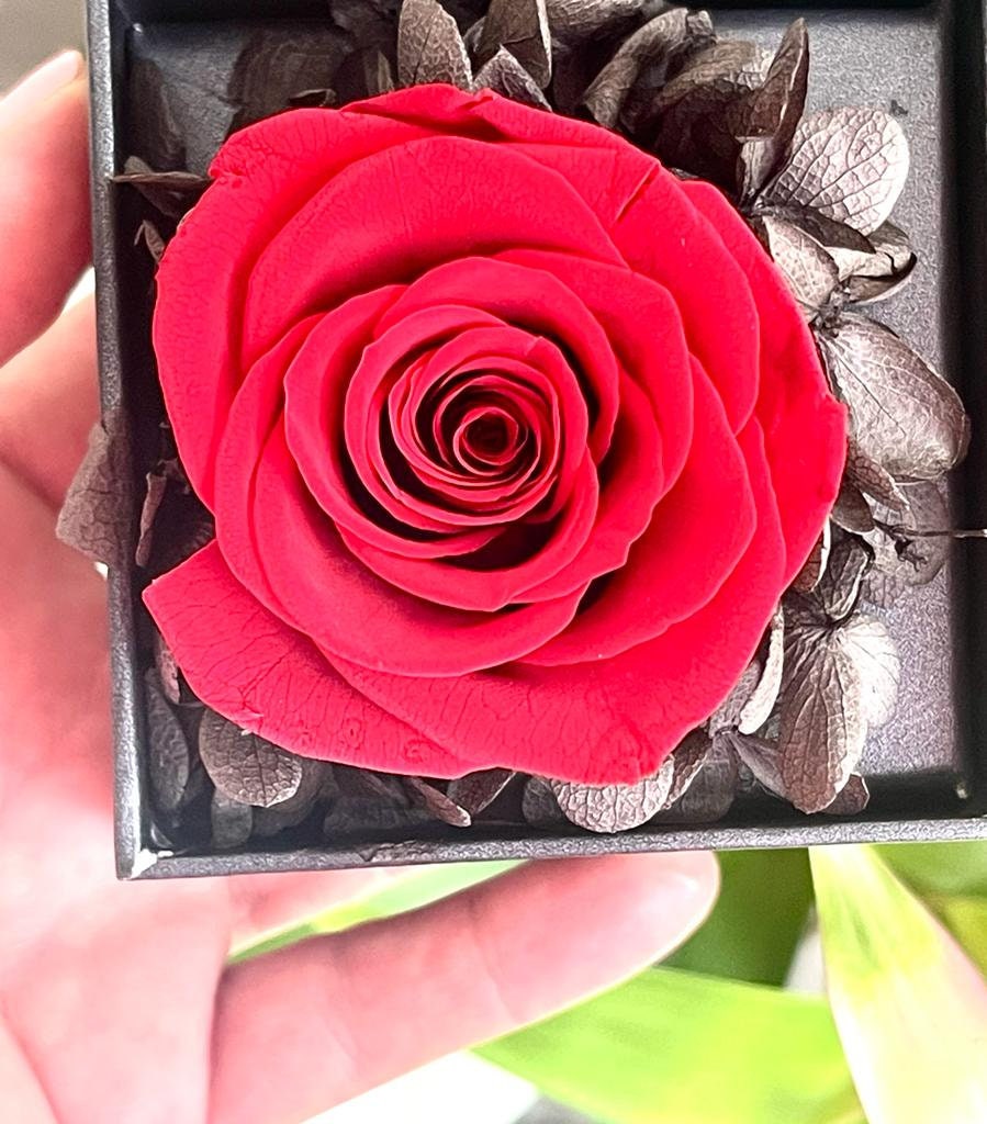 Preserved Roses with Jewelry Box