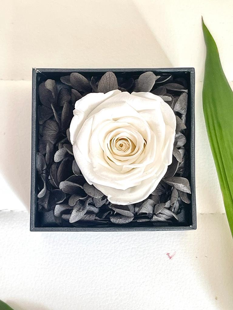 Preserved Roses with Jewelry Box