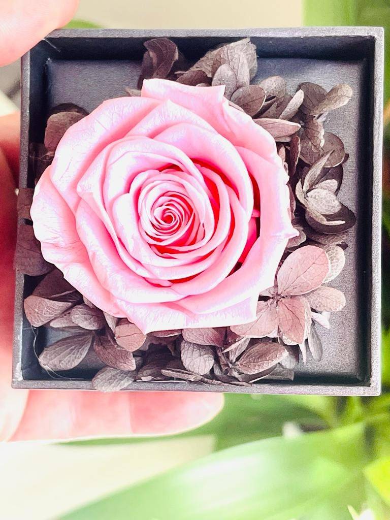 Preserved Roses with Jewelry Box