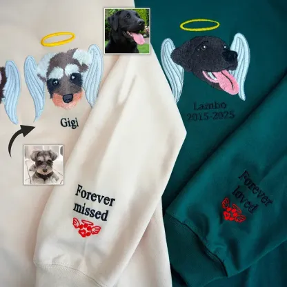 Custom Premium Handcrafted Pet Loss Embroidered Sweatshirt, Pet Memorial T-shirt Hoodie