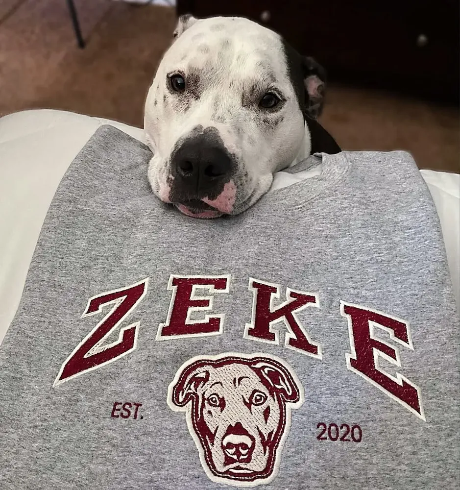 Personalized Embroidered Pet Sweatshirt with Portrait From Photo and Name, Gifts For Pet Owners