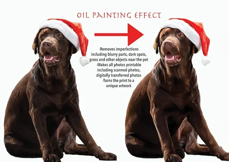 Custom Pet Blanket Using Pet Photo + Name Custom Dog Blanket Personalized Dog Blankets Cat Picture Blanket Pet Photo Blanket