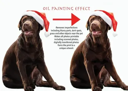 Custom Pet Blanket Using Pet Photo + Name Custom Dog Blanket Personalized Dog Blankets Cat Picture Blanket Pet Photo Blanket