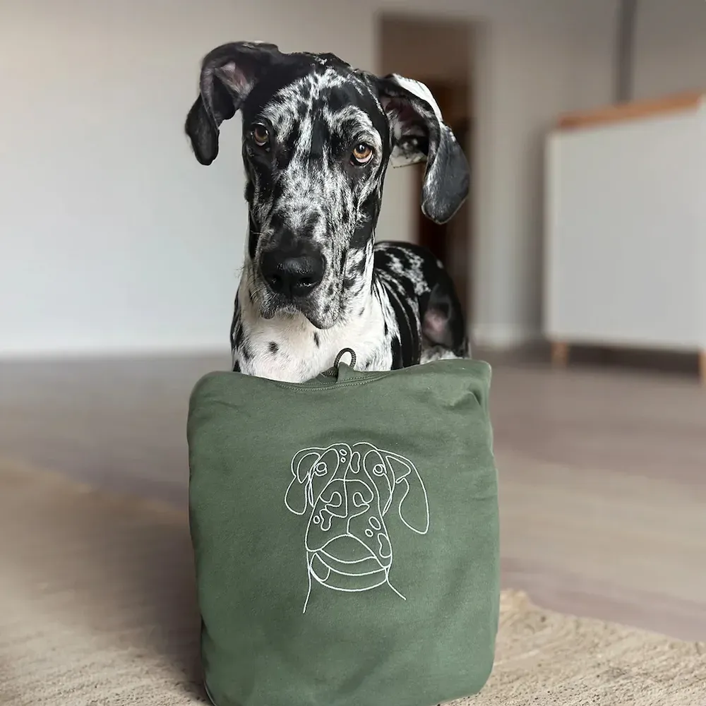 Custom Embroidered T-shirt,Hoodie,Pet Face Sketch Embroidery