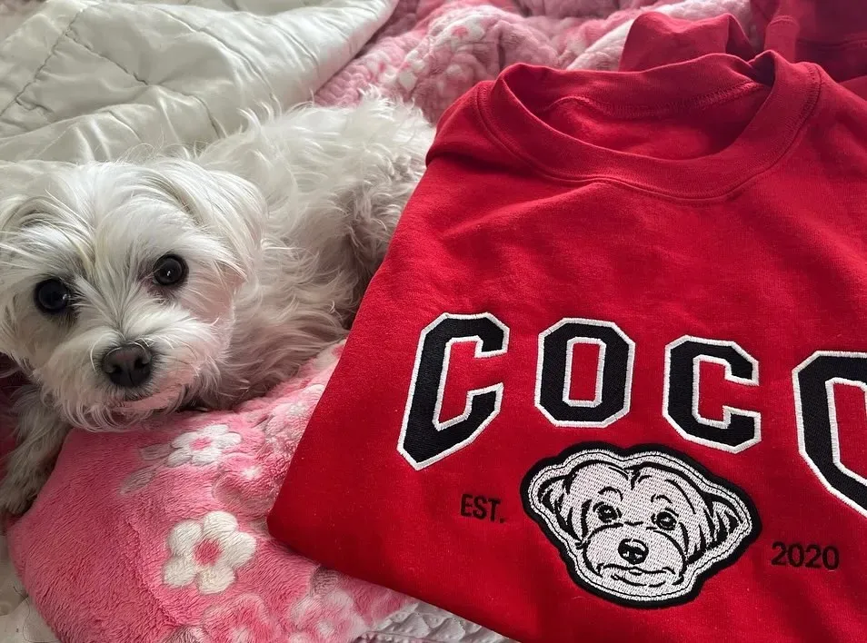 Personalized Embroidered Pet Sweatshirt with Portrait From Photo and Name, Gifts For Pet Owners