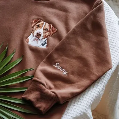 Custom Pet Loss Embroidered Sweatshirt, Pet Memorial Embroidered T-shirt Sweatshirt Hoodie