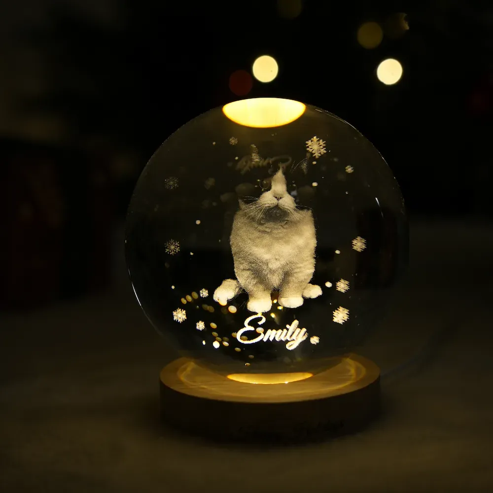 Customized full-body pet photo Christmas crystal ball night light