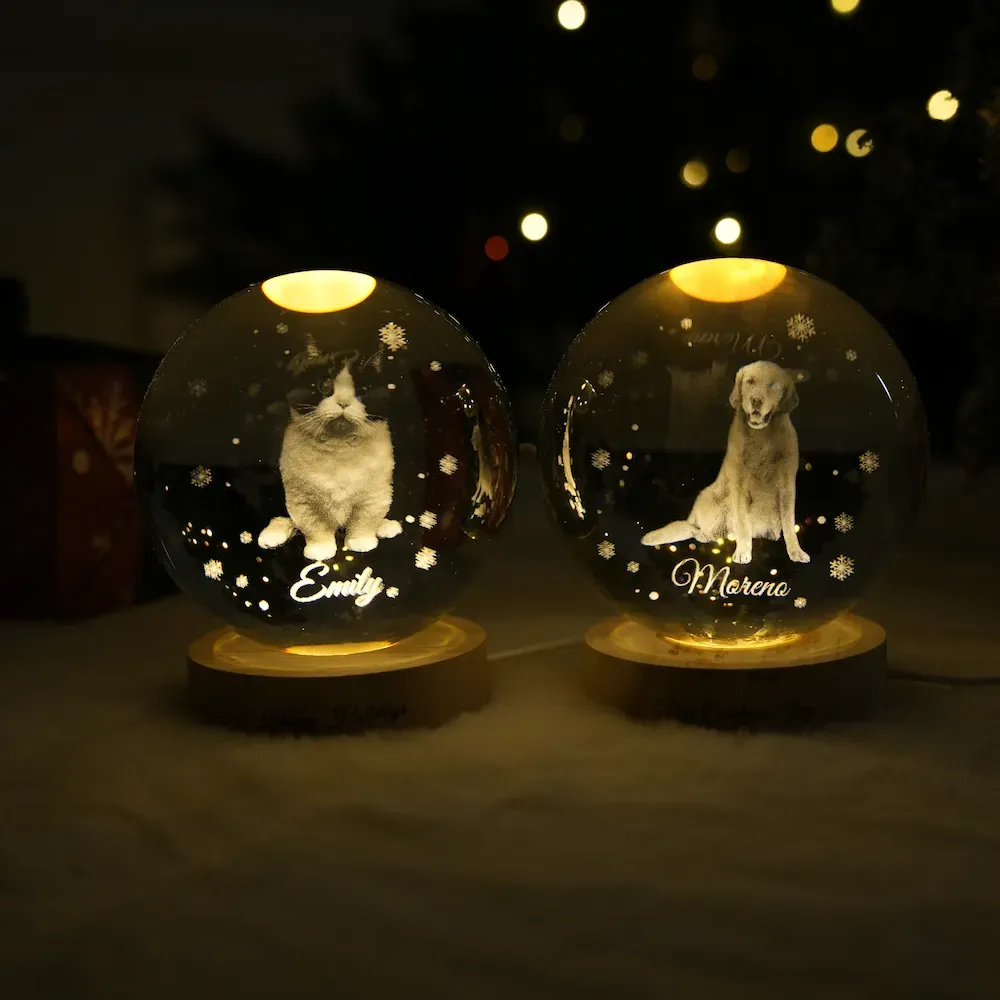 Customized full-body pet photo Christmas crystal ball night light