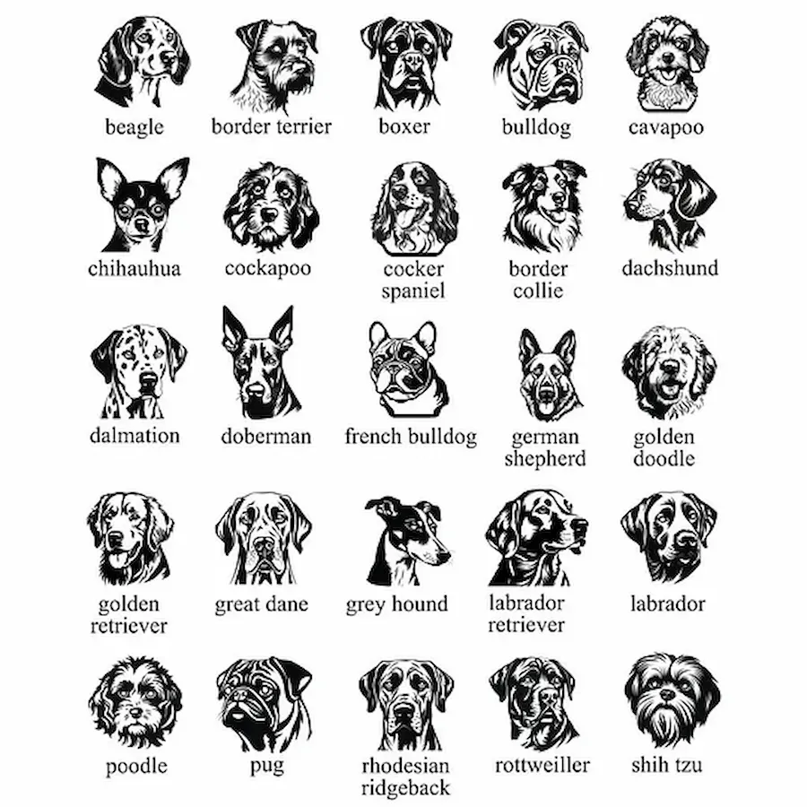 Custom Pet Portrait Embroidered T-Shirts, Sweatshirts and Hoodies