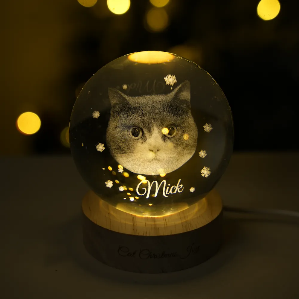 Customized pet photo Christmas 3D crystal ball night light