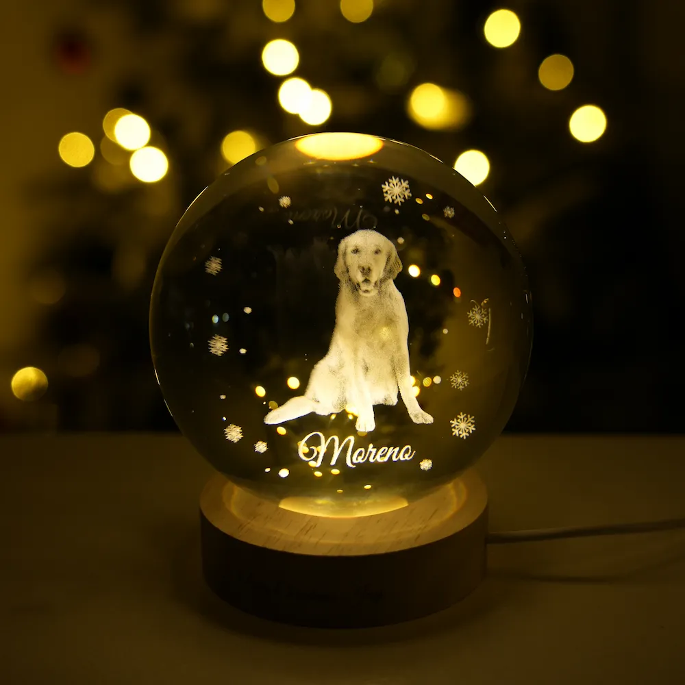 Customized full-body pet photo Christmas crystal ball night light