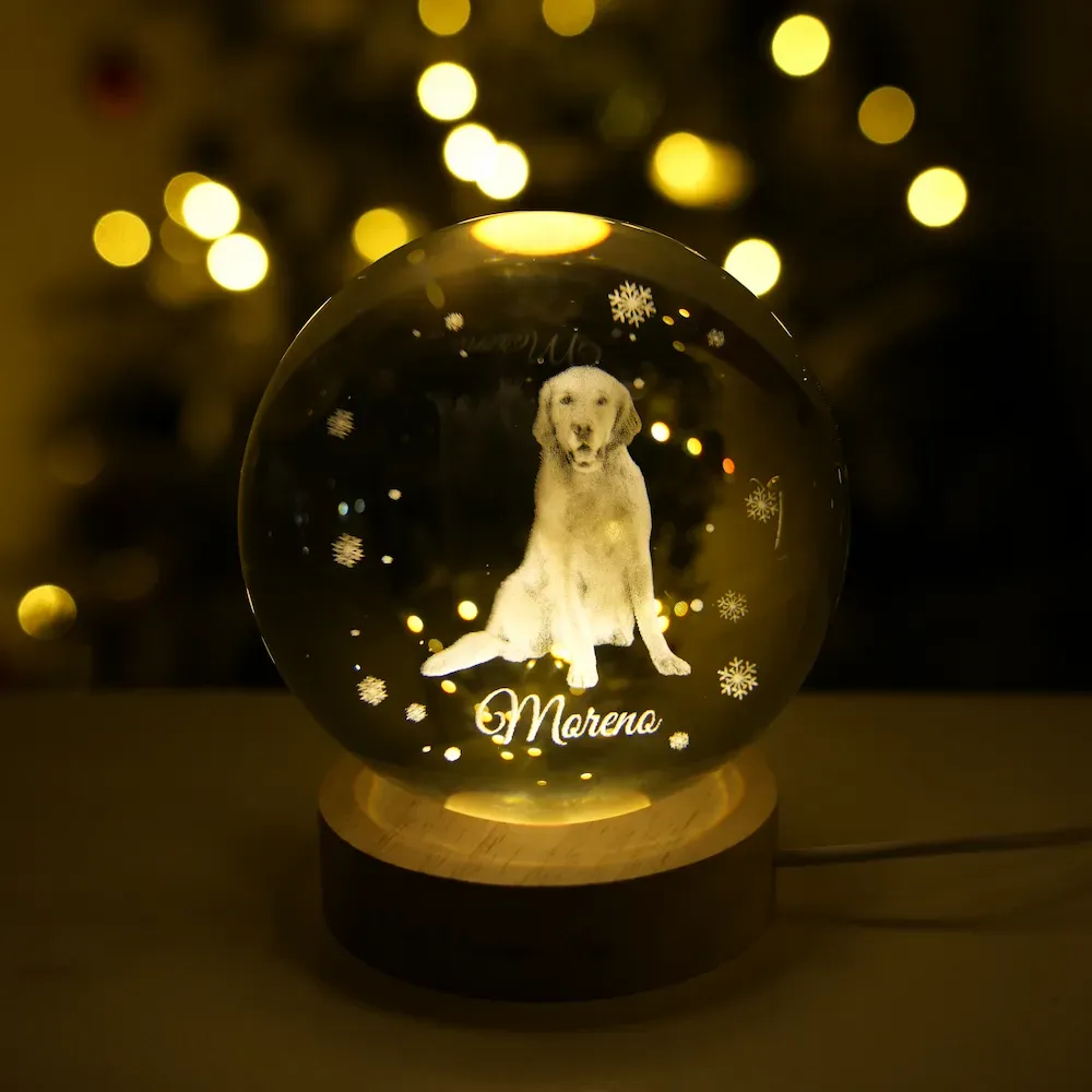 Customized full-body pet photo Christmas crystal ball night light