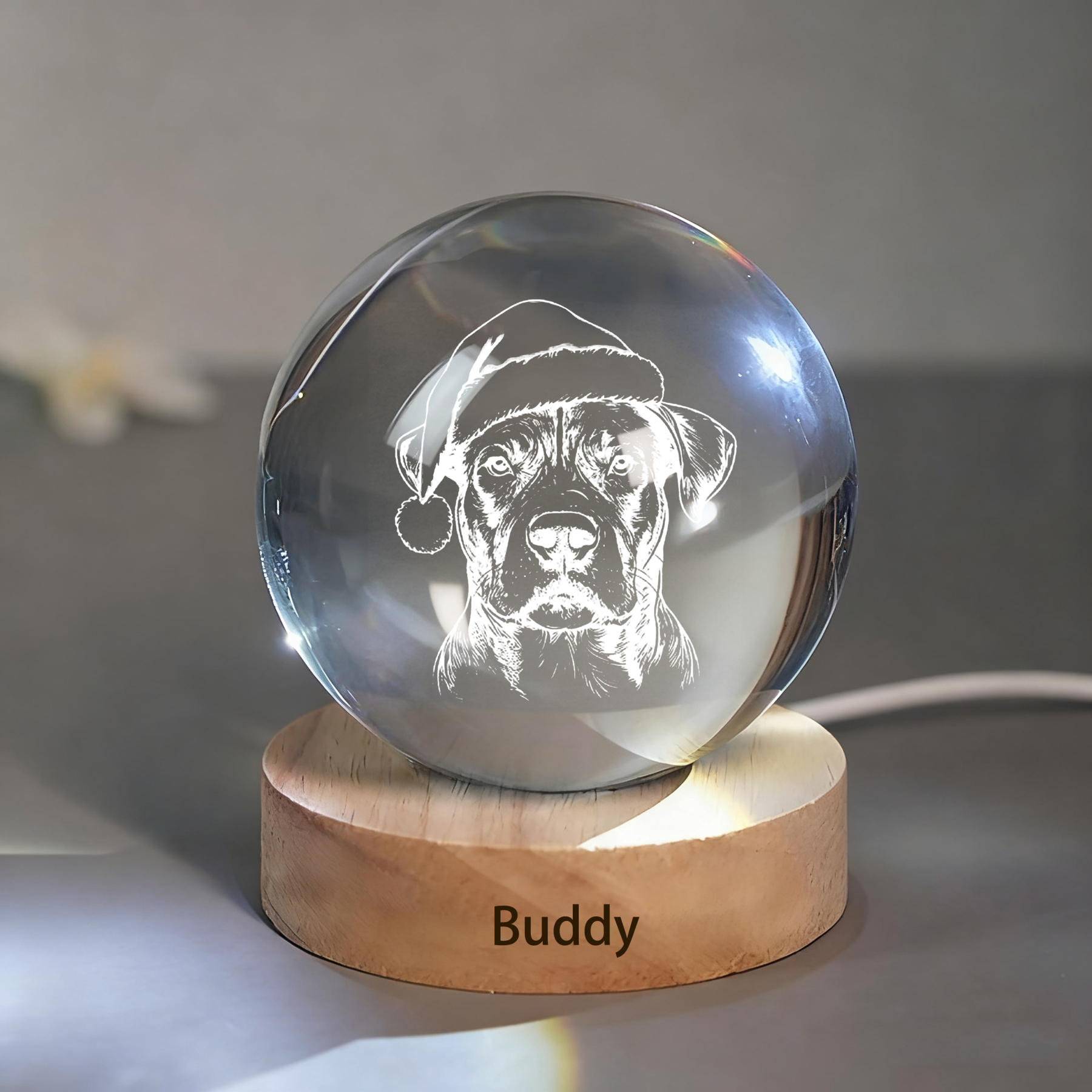 Custom Pet Photo Sketch Style Christmas Crystal Ball