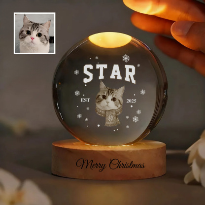 Customized pet face photo Est Year Christmas-themed crystal ball night light