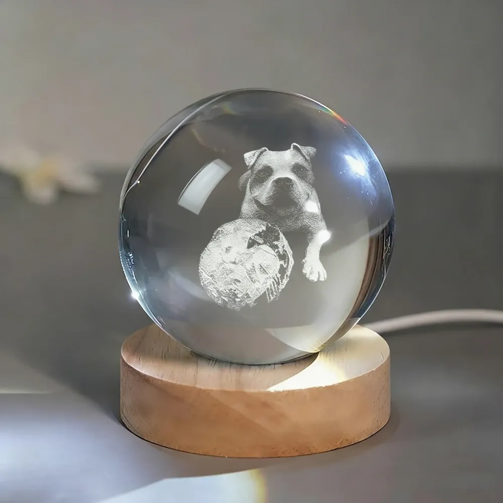 Custom Pet Photo Sketch Style Crystal Ball