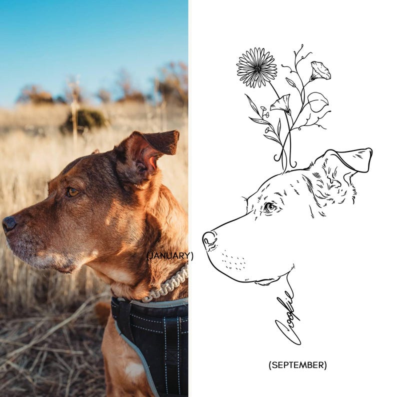 Dog photo next to line drawing with flower and pet name on a neutral background.