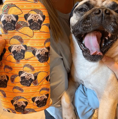 Custom Pet Photo Oven Mitt, Personalized Dog & Cat Oven Glove, Custom Kitchen Gift for Pet Lovers