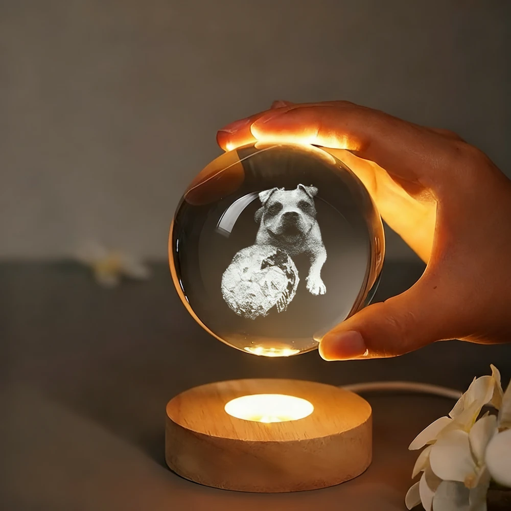 Custom Pet Photo Sketch Style Crystal Ball