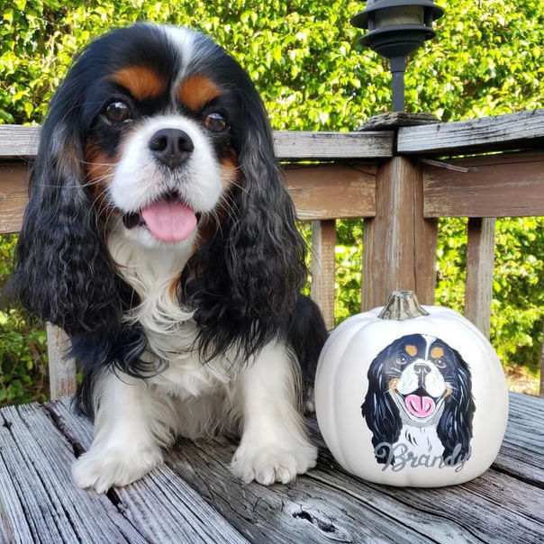 Custom Hand-Painted Pet Portrait Pumpkin, Personalized Dog & Cat Halloween Decor, Faux Pumpkin Pet Memorial & Fall Home Decoration