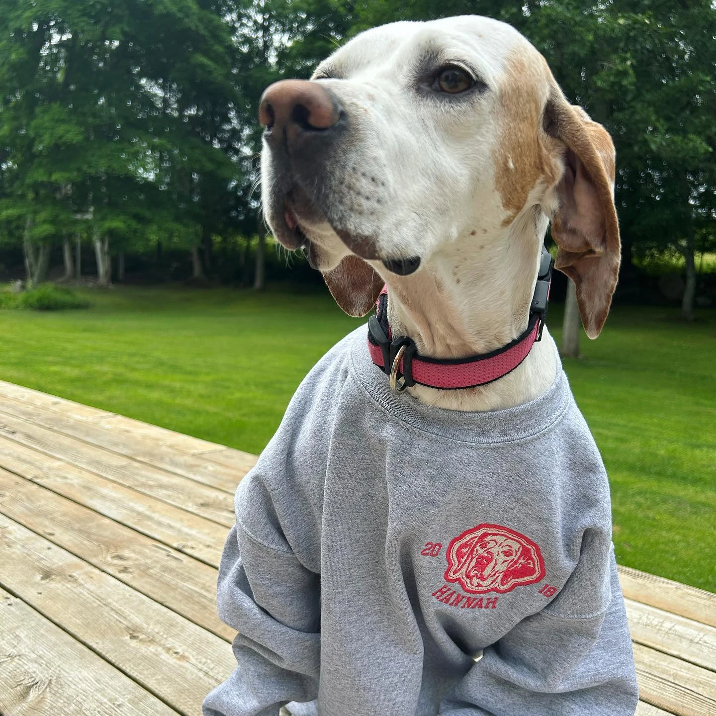 Custom Embroidered Pet Portraits EST Simple Icons T-Shirt, Sweatshirt, Hoodie-forlovever