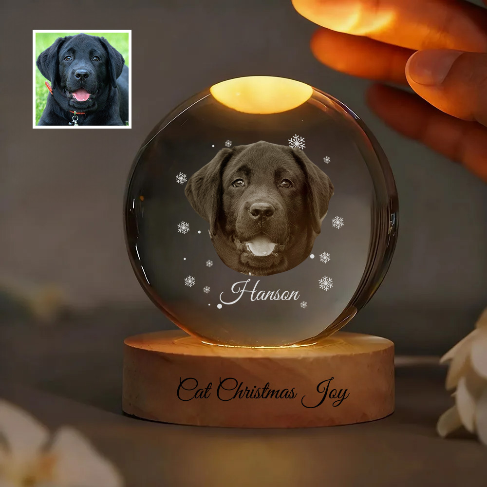 Customized pet photo Christmas 3D crystal ball night light