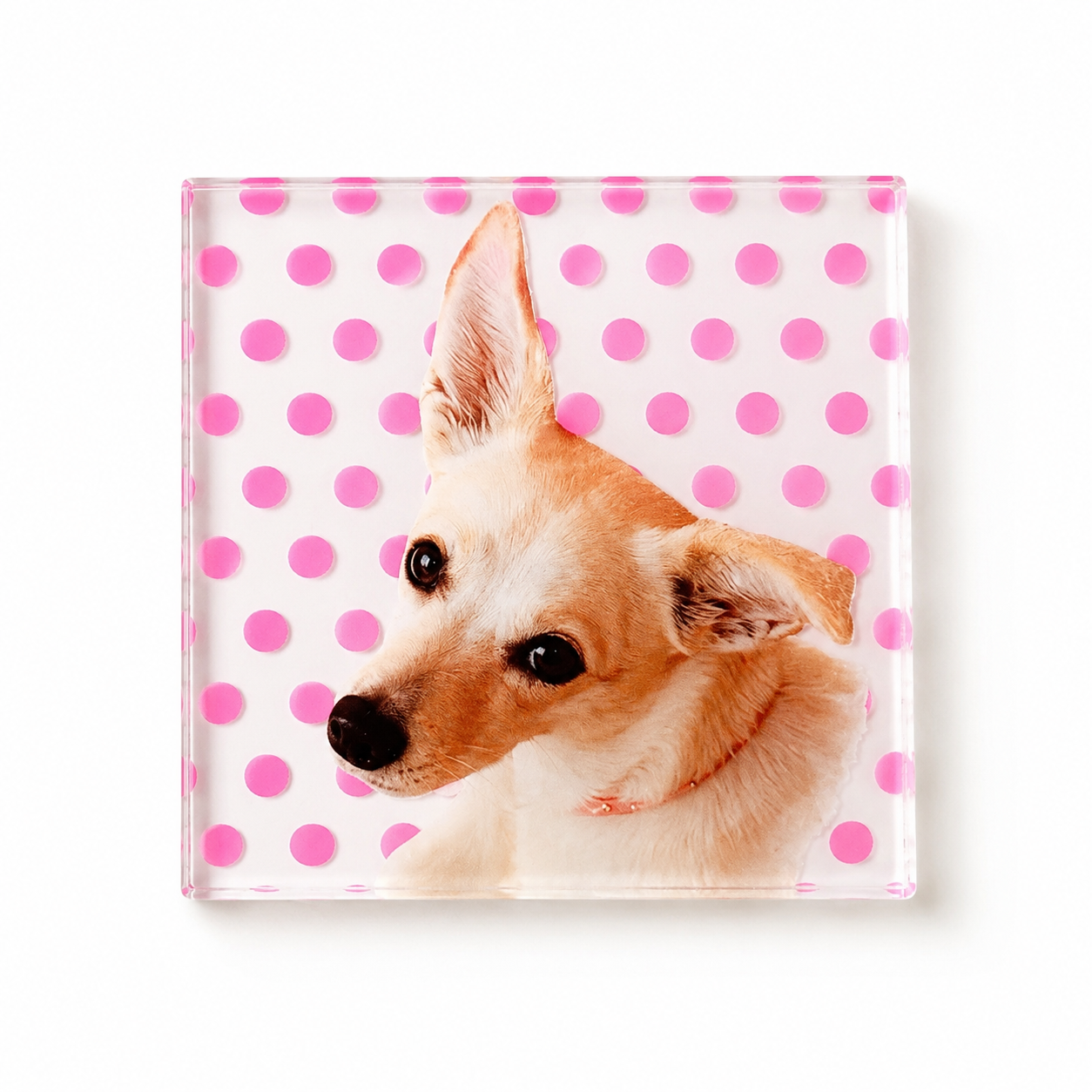 Custom Pet Photo Coaster, Personalized Dog & Cat Coaster with Polka Dot Design, Pet Lover Gift