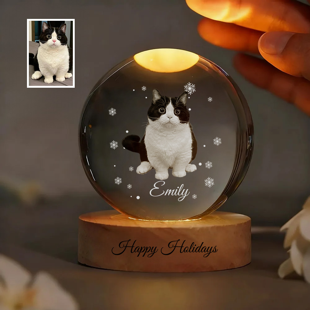 Customized full-body pet photo Christmas crystal ball night light