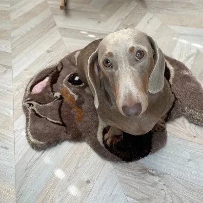 CUSTOM PET RUG - Tufted Rug - Personalised Pet Dog Portrait Rug.-forlovever