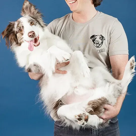 Custom Embroidered Pet Face T-shirt, Sweatshirt, Hoodie